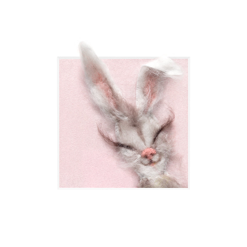 Animal Character Gicleé Print